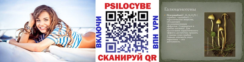 Галлюциногенные грибы мицелий  наркотики  Саки 